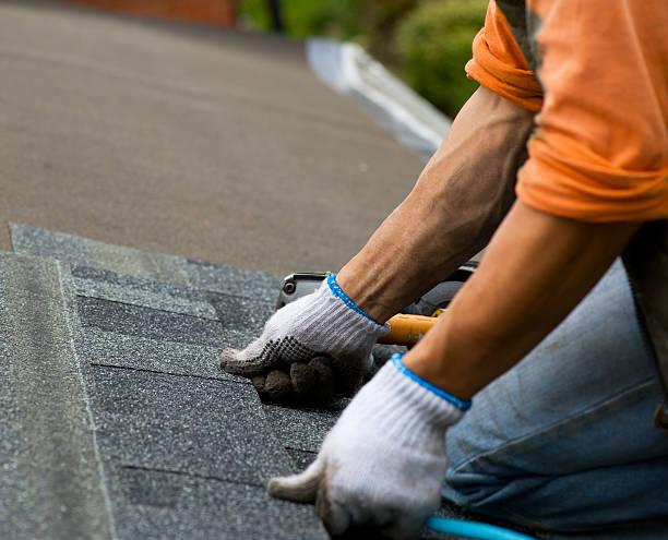 Best Emergency Roof Repair  in Lake Wildwood, CA